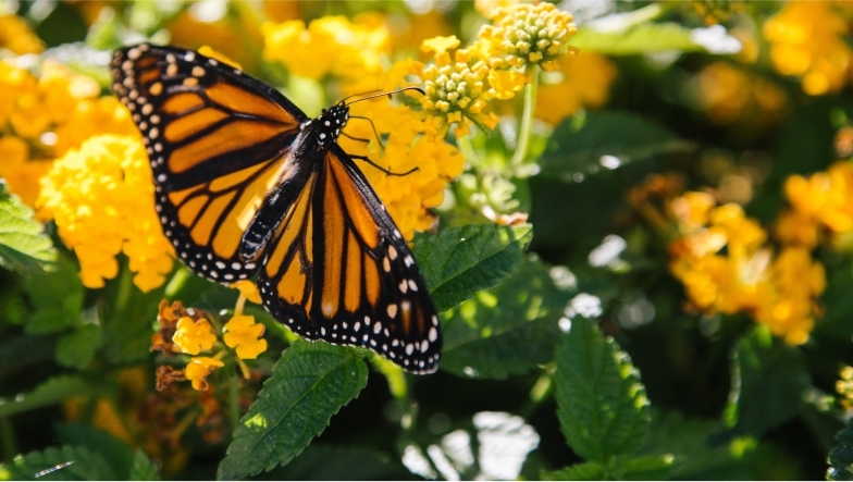 Transform Your Career